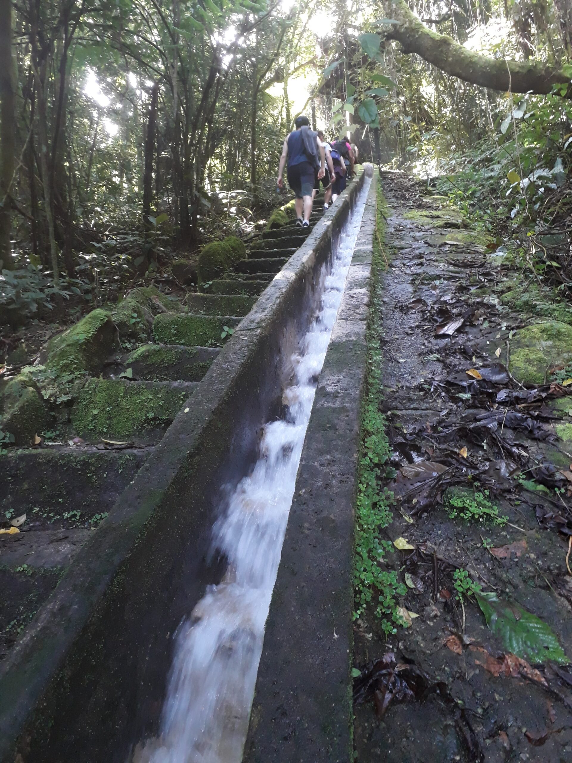 Trilha do Olho d'agua Paranapiacaba